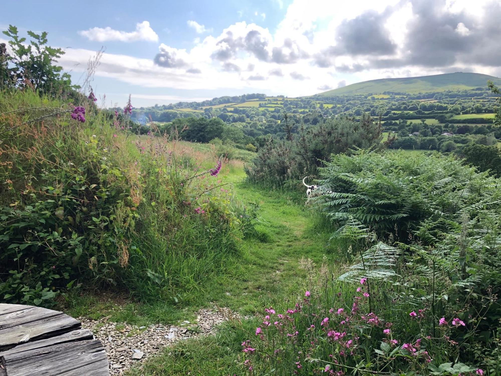 Foxesden, Unique Eco Cabin, Dartmoor Views South Brent Eksteriør billede